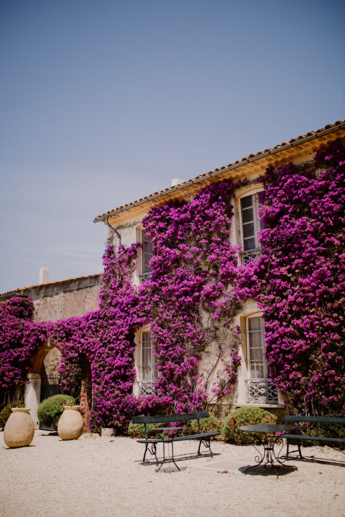 Superbes bougainvilliers sur la façade de château de Brégançon lors d'un mariage en Provence dans le Sud de la France