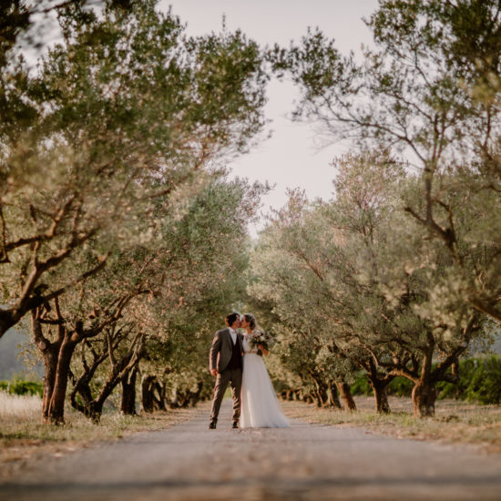 allée d'oliviers avec des mariés qui s'embrassent lors de leur mariage au château Deffends